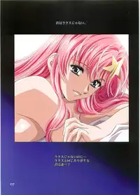 (C70)[Hen Rei Kai (Kawarajima Kou)] SEED ANOTHER CENTURY D.E. 2 (Gundam SEED Destiny)
