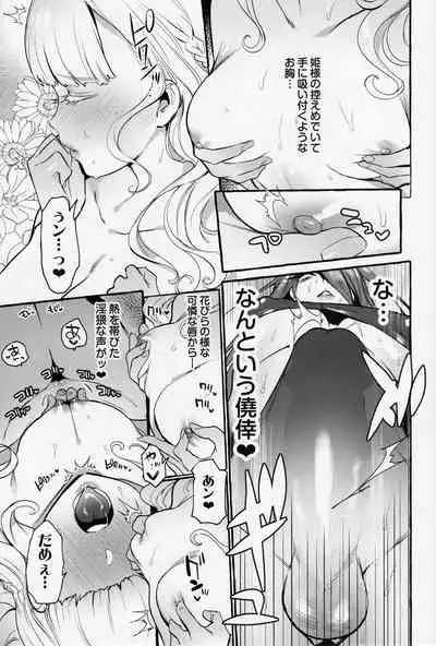 Ochinpo Onna Knight to Shojo Hime