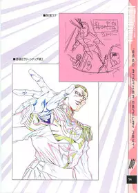 (C70)[Hen Rei Kai (Kawarajima Kou)] SEED ANOTHER CENTURY D.E. 2 (Gundam SEED Destiny)