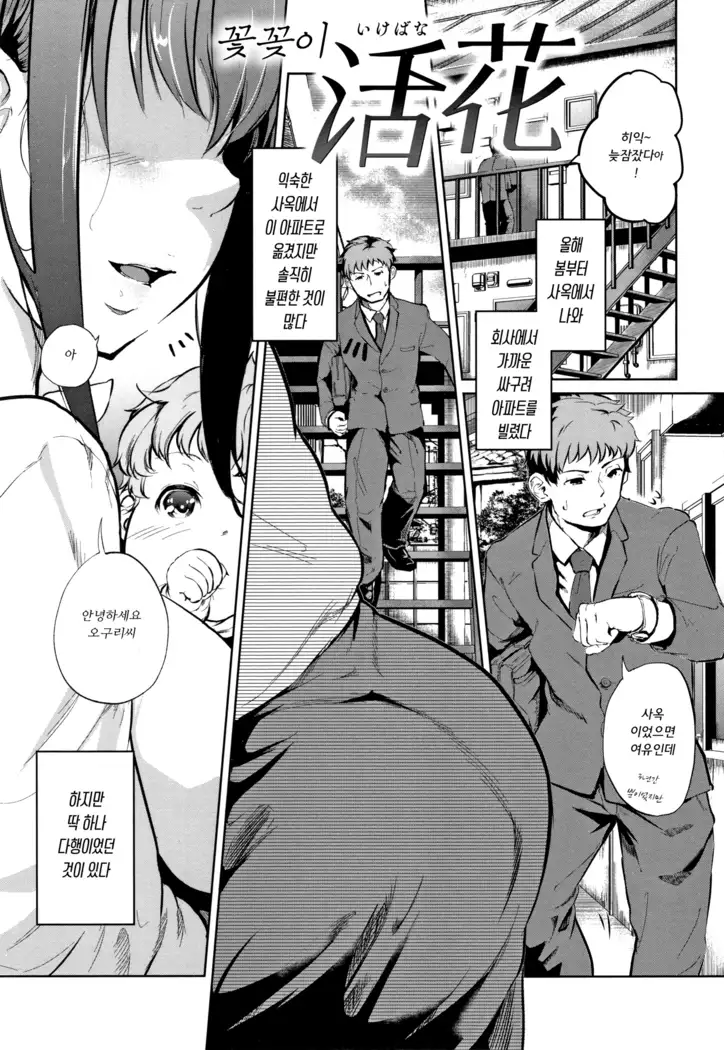 H na Jochi wa Okirai desu ka