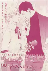 花音 2015-03