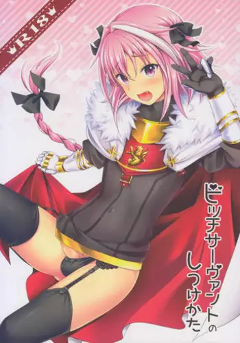 (C93) [Kakukonoka (Menoko)] Bitch Servant no Shitsukekata (Fate Grand Order) [English] [mysterymeat3]
