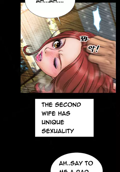 My Wives Ch.1-32