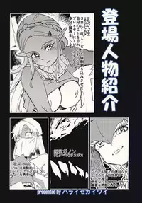 (CT30) [Haraise Kaiwai (Yucchris)] TRUST&CENTURY (The Legend of Zelda)