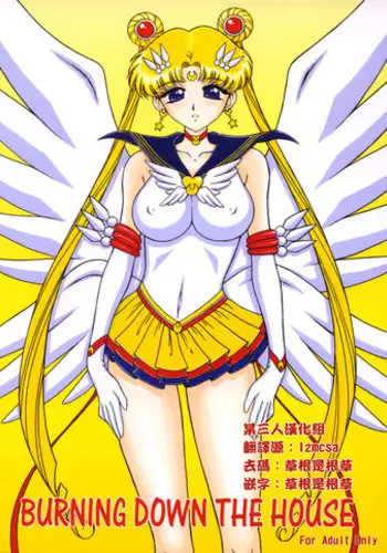 (C66) [Black Dog (Kuroinu Juu)] Burning Down the House (Bishoujo Senshi Sailor Moon) [English] [Phantom]