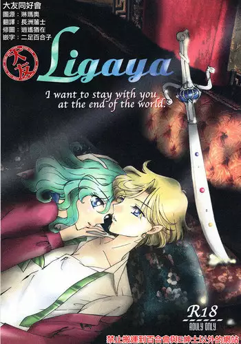 (C94) [Shibuya BRAND (Shiratori Kamui)] Ligaya - I want to stay with you at the end of the world. (Bishoujo Senshi Sailor Moon) [Chinese] [?????]