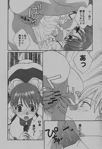 COMIC Hime Dorobou 2007-12