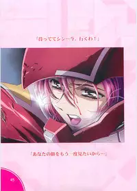 (C70)[Hen Rei Kai (Kawarajima Kou)] SEED ANOTHER CENTURY D.E. 2 (Gundam SEED Destiny)