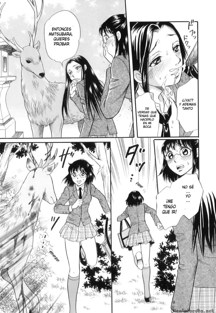 Shoujo-tachi no Yukue ~Shishigami no Mori~ | Divine Deer Forest ~Girls' Whereabouts~