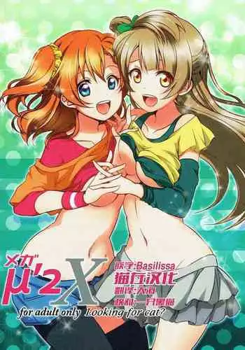 Mega μ2X