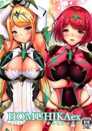 (COMIC1?13) [Okatoraya (Okatora)] HOMUHIKAex (Xenoblade Chronicles 2) [English] {Doujins.com}