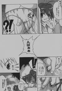 COMIC Hime Dorobou 2007-12