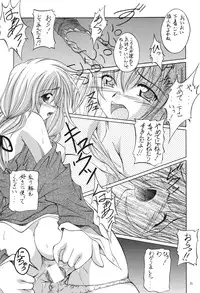 (C69) [RED RIBBON REVENGER (Makoushi)] Valhalla ~ Dainishou~ Fuyu no Arashi (Spiral) [Digital]