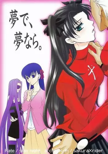 ハイグレサーヴァント妖精騎士