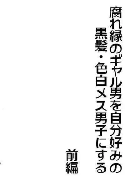 Kusareen no Gyaru-oh o Jibun Konomi no Kurokami Irojiro Mesu Danshi ni Suru