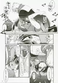 (C72) [Digital Lover (Nakajima Yuka)] DL-RO Perfect Collection No.04 (Ragnarok Online)