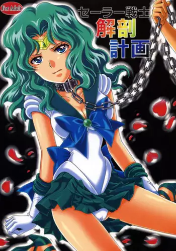 (C67) [Kotori Jimusho (Sakura Bunchou)] chanson de I'adieu (Sailor Moon)