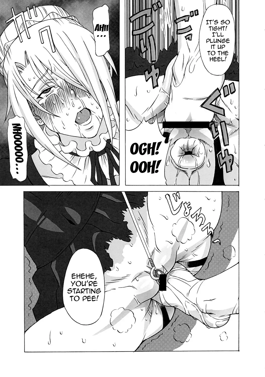 Hilda-san ni Hidoi Koto wo Shitemita {doujins.com}