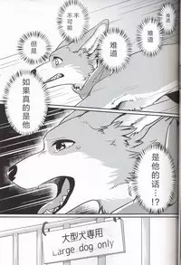 (Kansai! Kemoket 7) [Kaiten ParaDOGs (Diga Tsukune)] Usotsuki Tachi no " " | 讹言者们的“ ” [Chinese] [兔屋汉化组]