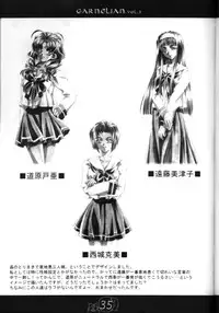 [CARNELIAN] CARNELIAN vol.2 - Re·Leaf Settei Shiryou Tsudo