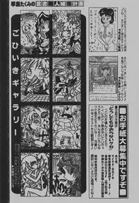 COMIC Hime Dorobou 2007-12