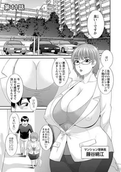 Innyu Shufu no Futei Ganbou