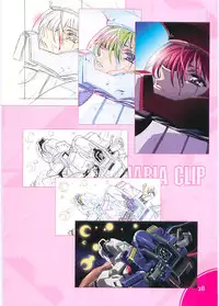 (C70)[Hen Rei Kai (Kawarajima Kou)] SEED ANOTHER CENTURY D.E. 2 (Gundam SEED Destiny)