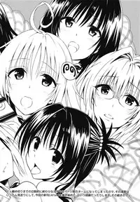 (C91) [Samurai Ninja GREENTEA] Samurai Ninja GREENTEA FuyuComi C91 Event Gentei Sasshi (To LOVE-Ru)