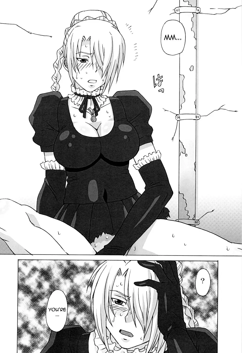 Hilda-san ni Hidoi Koto wo Shitemita {doujins.com}