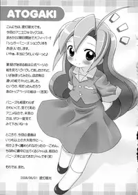 (Puniket 17) [Furaipan Daimaou (Chouchin Ankou)] Aniero Mix 009 (Sugarbunnies)