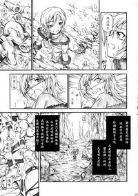 (C90) [Yokohama Junky (Makari Tohru)] Solo Hunter-tachi no Seitai (Monster Hunter) [Chinese] [中国翻訳] [VK1062喵&萌紋 漢化]