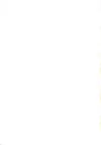 [Flieger (Ten)] Yamato Nadeshiko