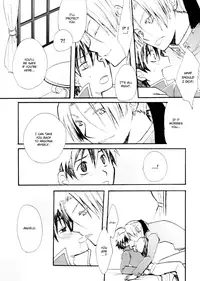 (C69) [FMD, Osova (chizuwa, karin)] Ryoushu Kukule to Eight Ouji | Lord Angelo and Prince Hero (Dragon Quest VIII) [English] [Boxer & Rice]