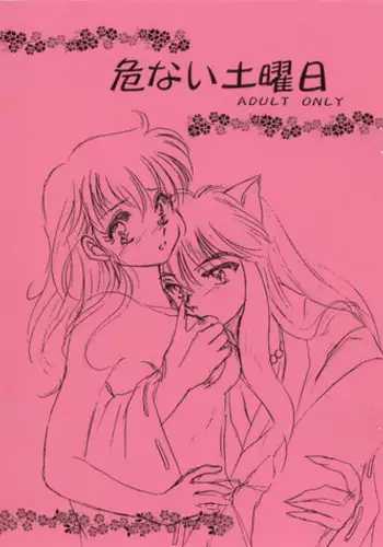 [PINK (Araiguma)] Ririchiyo-sama to Denki Anmaki (Inu x Boku SS)