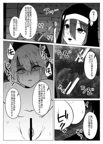 [TeruTeruGirl ] Joketsu 蟲 Ni 堕Tsu ~ hokai shita en kara no kyosei ~