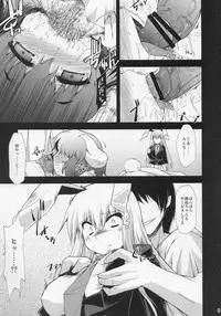 (Reitaisai 7) [IncluDe (Foolest)] Motto Shiawase ni naritai Otona no Inaba DS (Touhou Project)