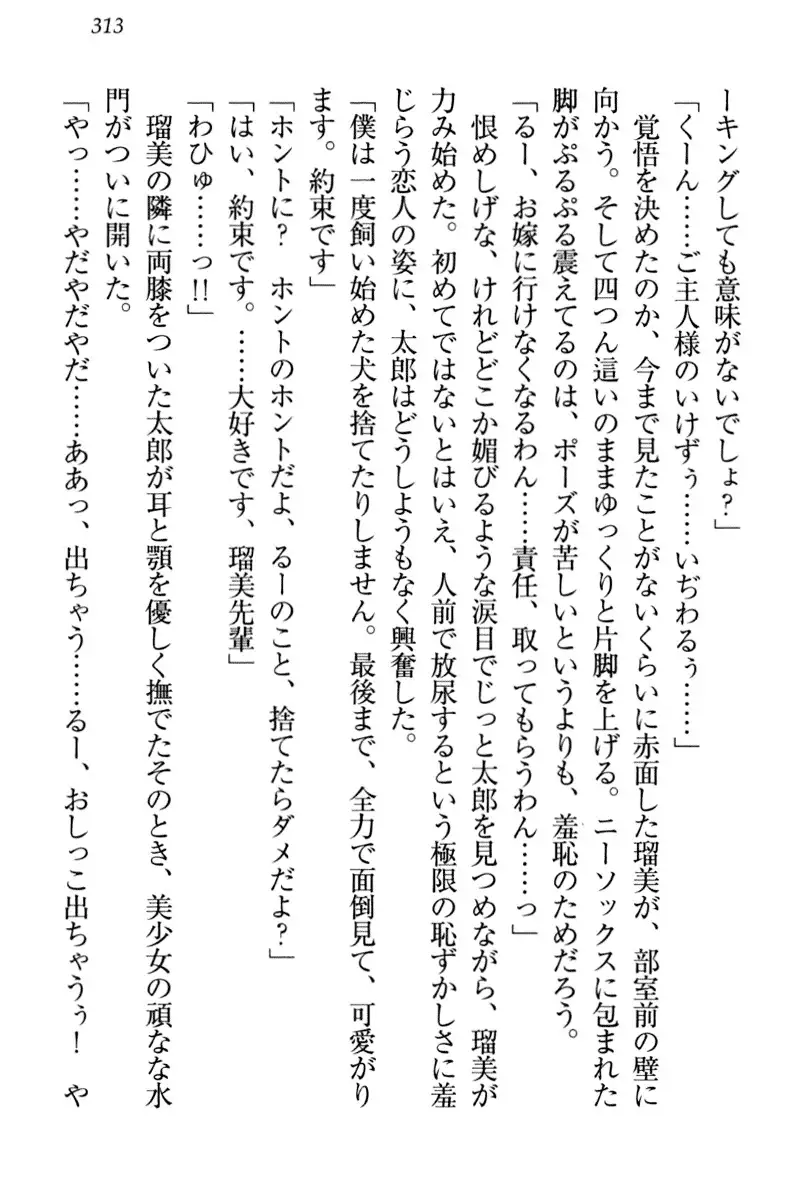 Boku to Ruu Senpai no Houkago Choukyou Nisshi - Kyou mo Watashi o Shitsukenasai!