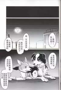 (Kansai! Kemoket 7) [Kaiten ParaDOGs (Diga Tsukune)] Usotsuki Tachi no " " | 讹言者们的“ ” [Chinese] [兔屋汉化组]