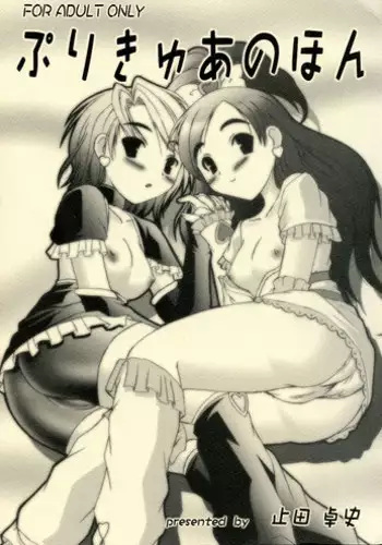 Precure no Hon