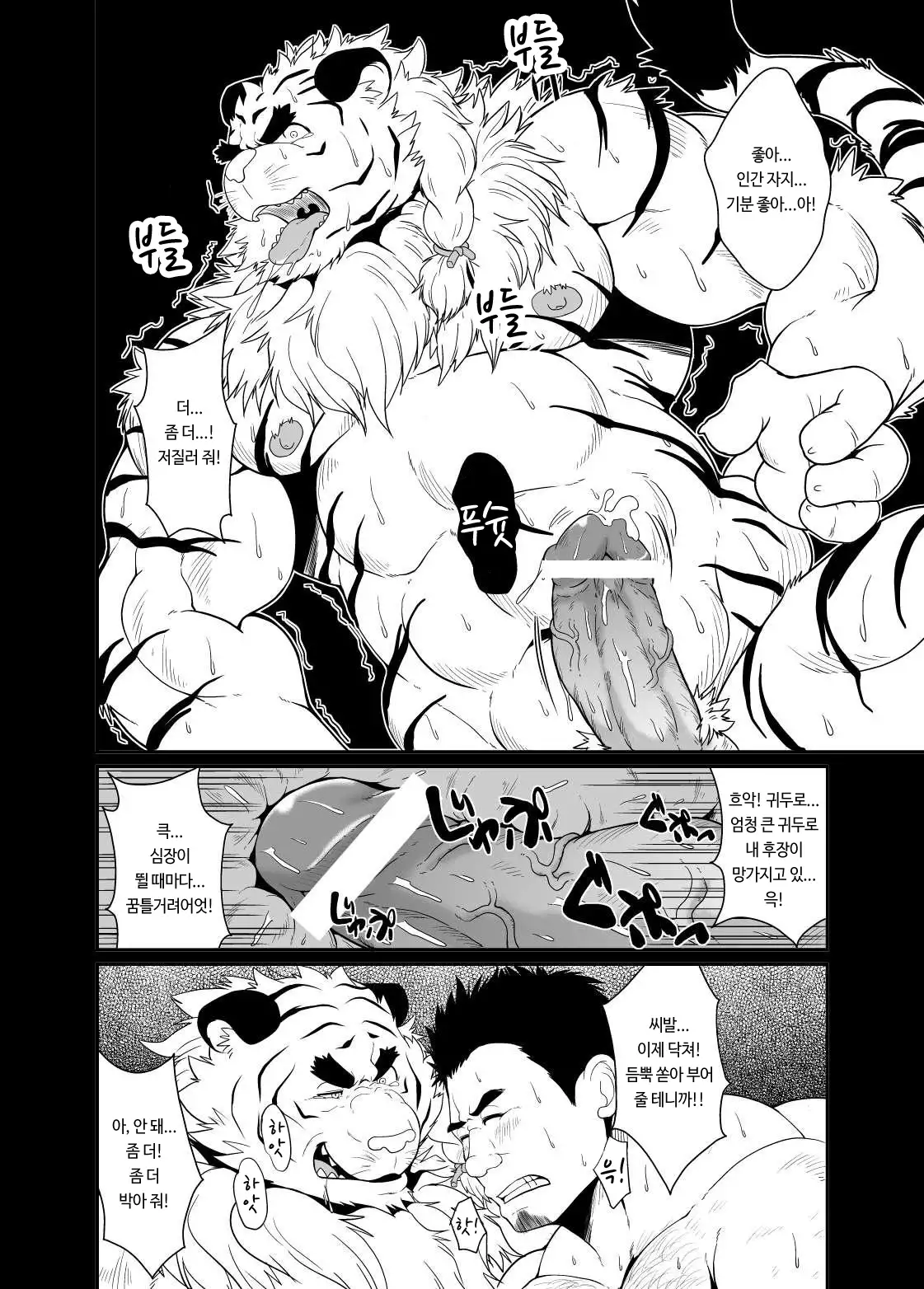 Toradorei -KEMONO Company 2- | 호랑이 노예 -KEMONO 컴퍼니 2- .