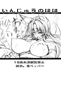 (C75) [Doku pepper (Shiina Kazuki)] Injuu no Haha (Kanokon) [Chinese] [佐橋皆人個人漢化]