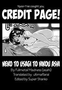 (C79) [FULLMETAL MADNESS (Asahi)] Neko to Usagi to Hikou Ashi (Strike Witches) [English] [ultimaflaral]