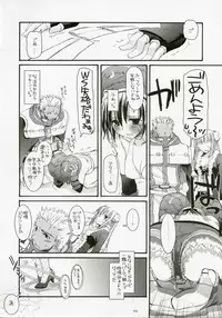 (C72) [Digital Lover (Nakajima Yuka)] DL-RO Perfect Collection No.04 (Ragnarok Online)