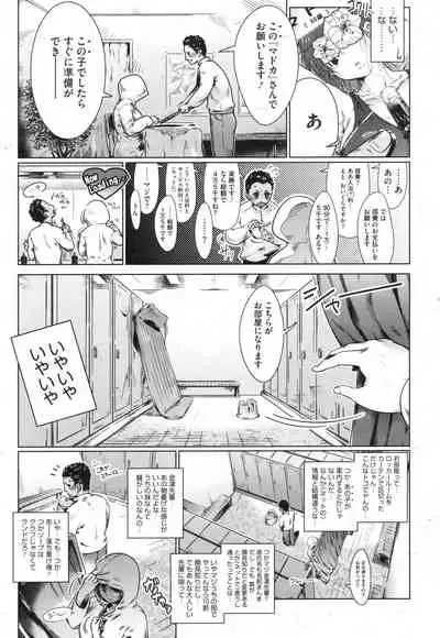 Anthology collection