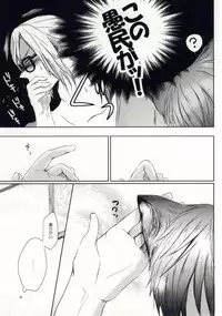 (Love Song ☆ Lesson ♪ 5th) [NinamoRe; (Ninamo)] A HOUSE CAT (Uta no Prince-sama)