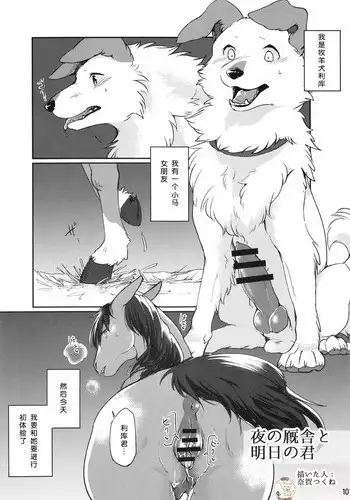 (Kemoket 6) [Mayoineko (Diga Tsukune)] Yoru no Kyuusha to Ashita no Kimi (MARE HOLIC 5) [Chinese] [??????]