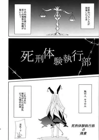 ] Usagi Rabbit!