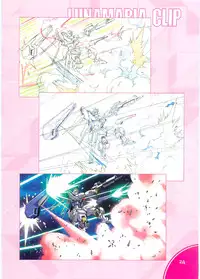 (C70)[Hen Rei Kai (Kawarajima Kou)] SEED ANOTHER CENTURY D.E. 2 (Gundam SEED Destiny)