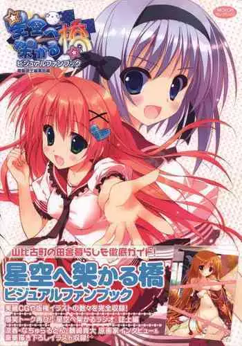 Natural 2 Duo Visual Fan Book