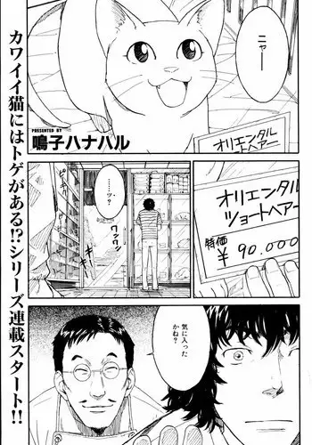 [Naruko Hanaharu] Nene Ch.1-8